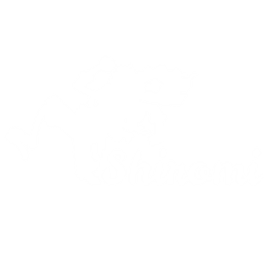Shiromi
